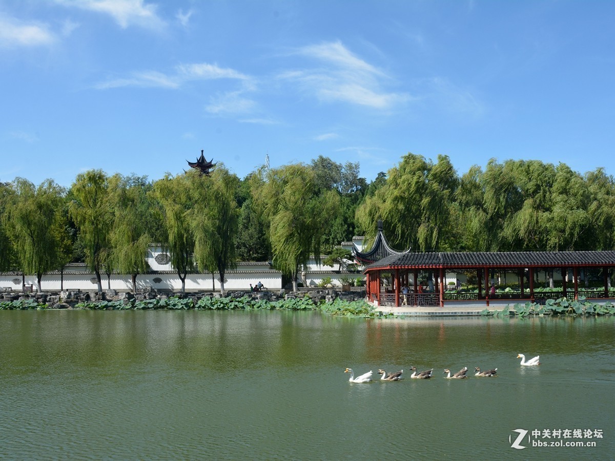 #版主坐堂#小五星空(中国)2017年9月精品荟萃