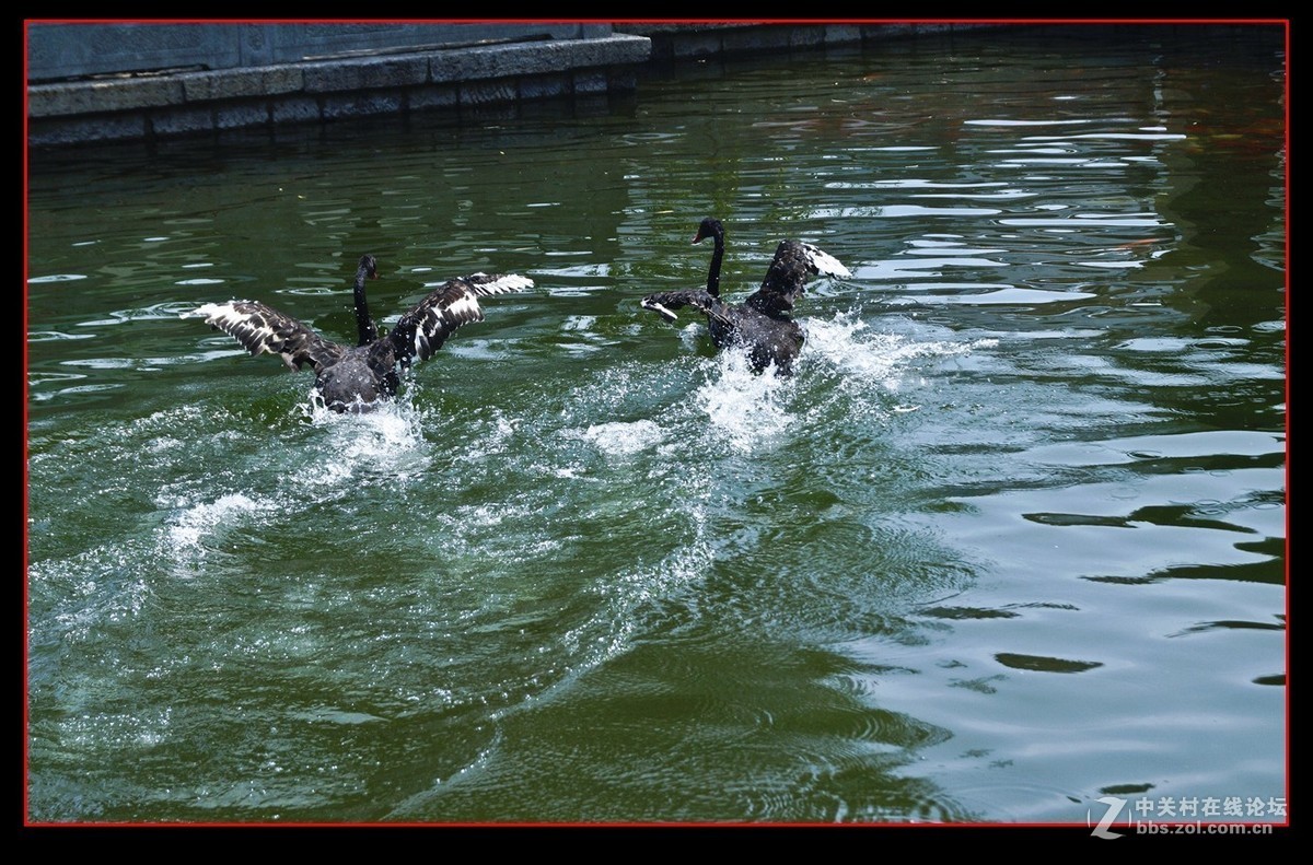 #版主坐堂#小五星空(中国)2017年9月精品荟萃