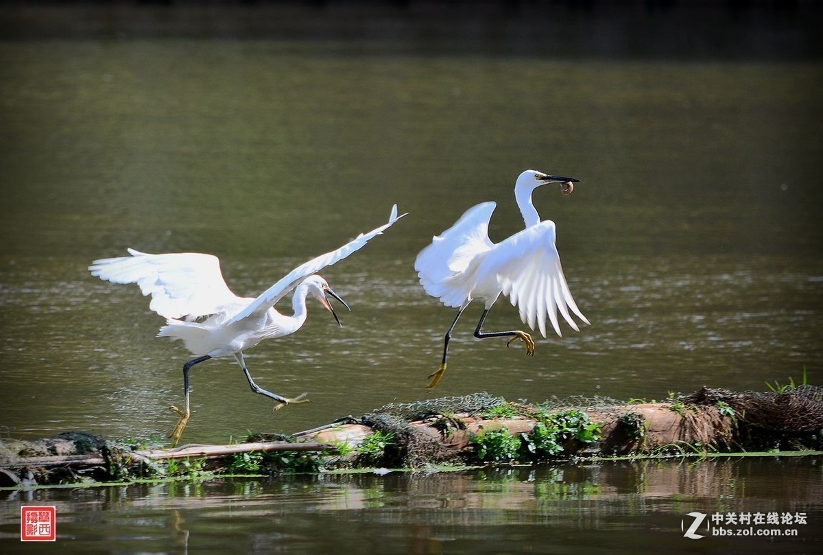 #版主坐堂#小五星空(中国)2017年9月精品荟萃