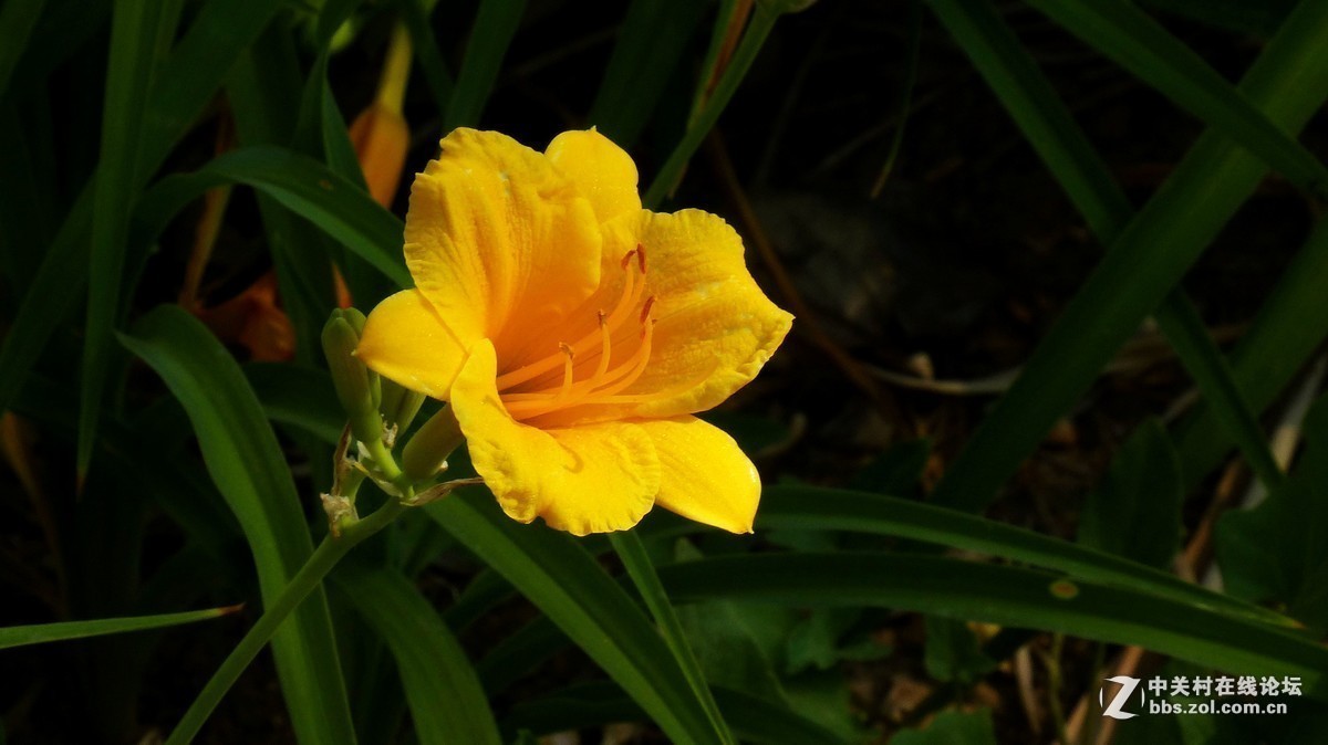 #版主坐堂#小五星空(中国)2017年9月精品荟萃