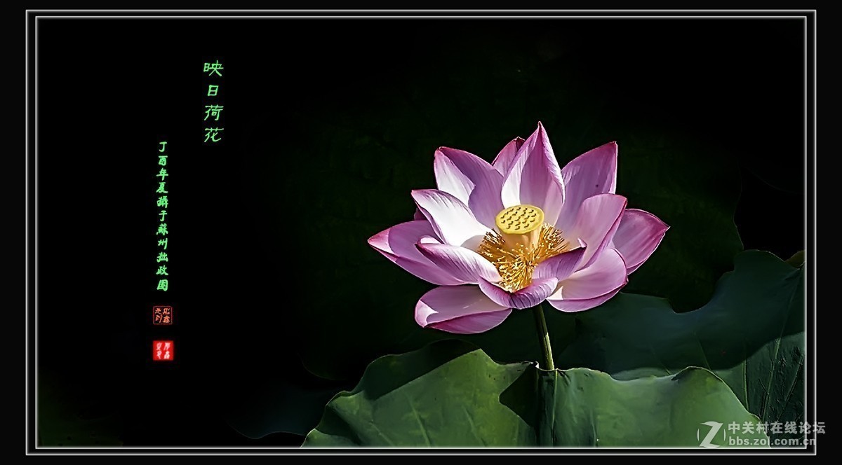 #版主坐堂#小五星空(中国)2017年9月精品荟萃