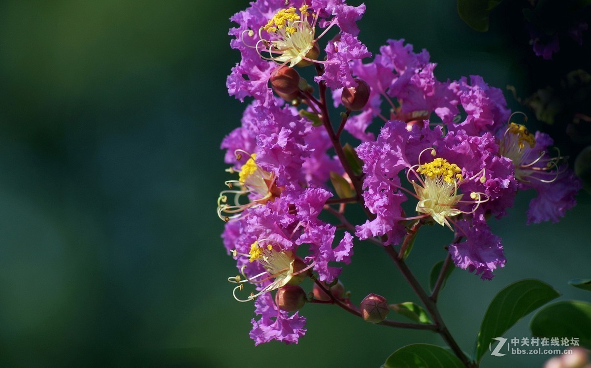 #版主坐堂#小五星空(中国)2017年9月精品荟萃