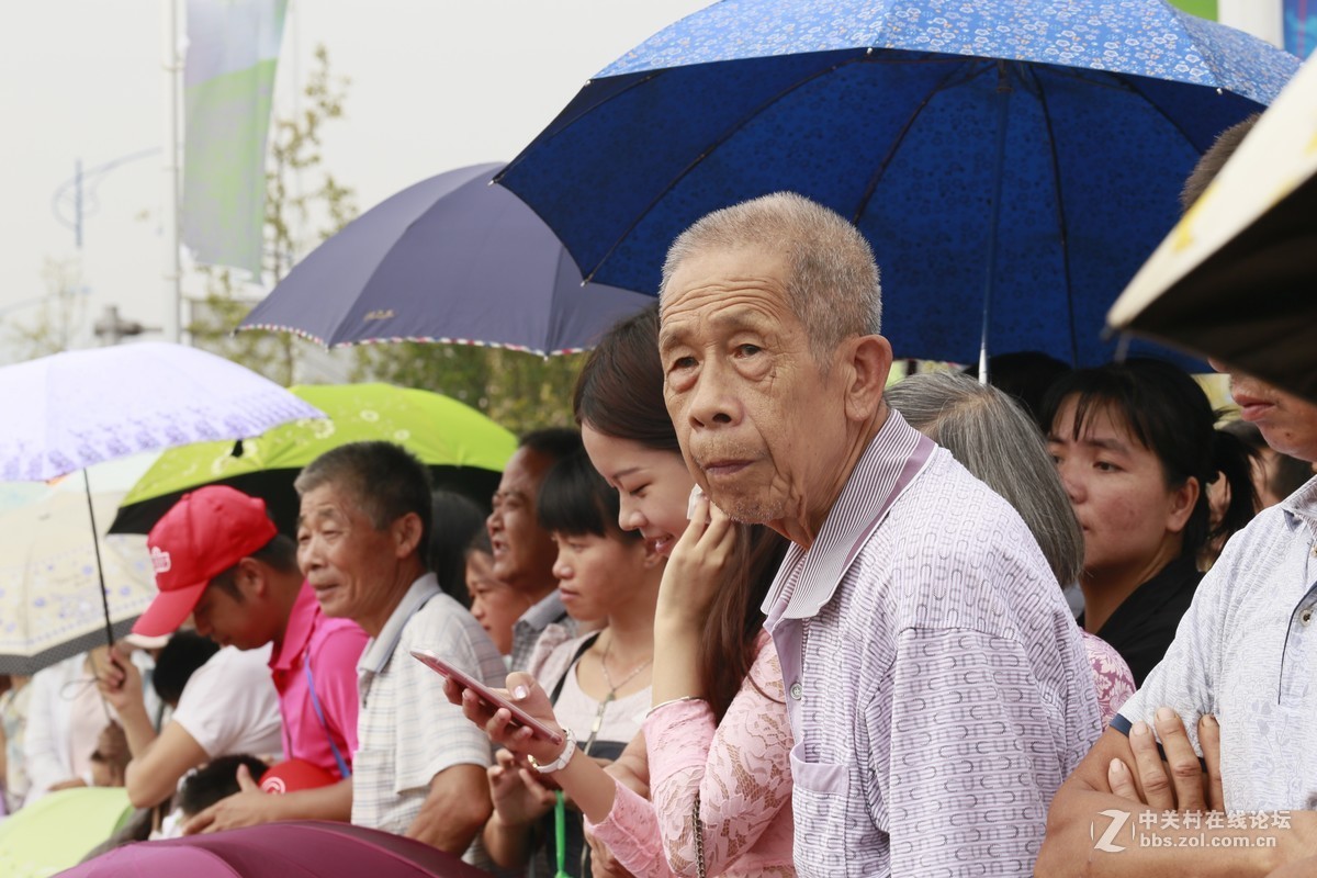 2017中国龙舟赛昭平站