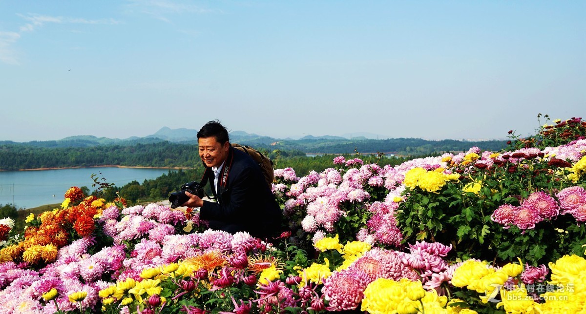 瑶山菊展一一踏遍青山人未老，风景这边独好。