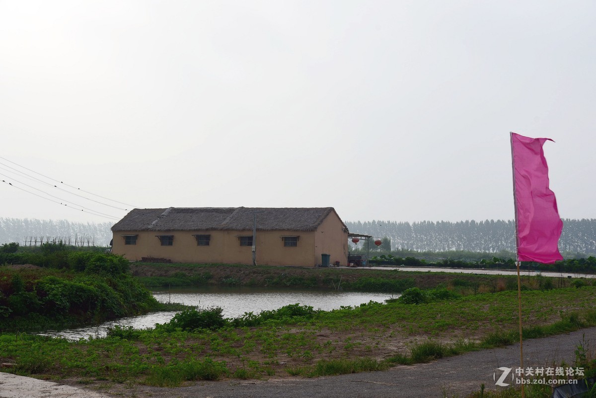 沛县湖西农场恶霸图片