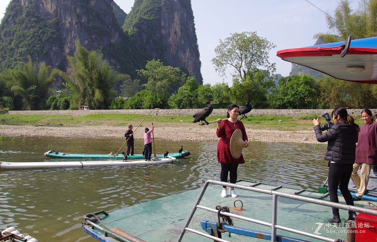『被套住嘴绑住腿的鱼鹰』123...15P