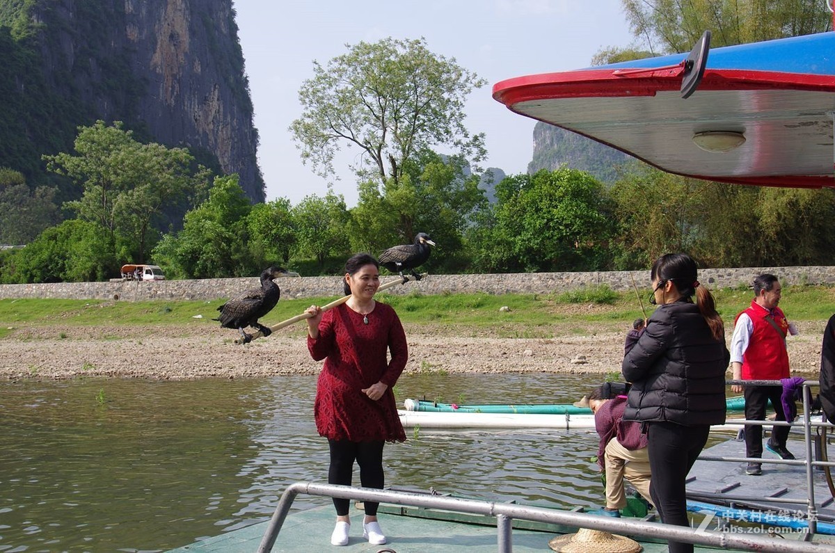 『被套住嘴绑住腿的鱼鹰』123...15P