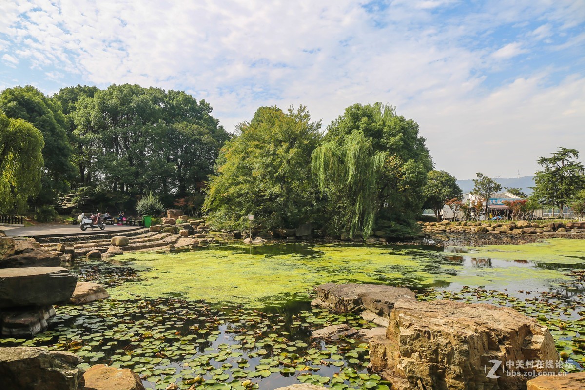 #佳能迷你单反EOS 200D 看见南腔北调#----风光无限之湘江