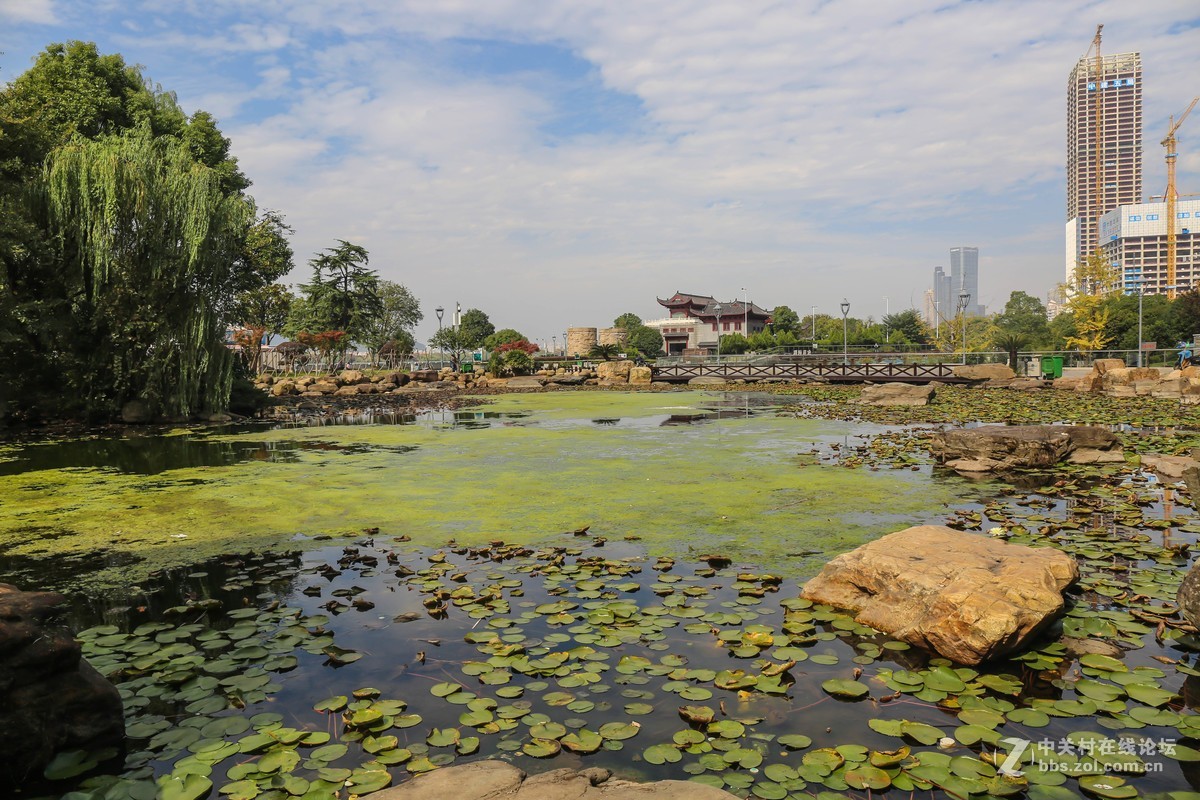 #佳能迷你单反EOS 200D 看见南腔北调#----风光无限之湘江