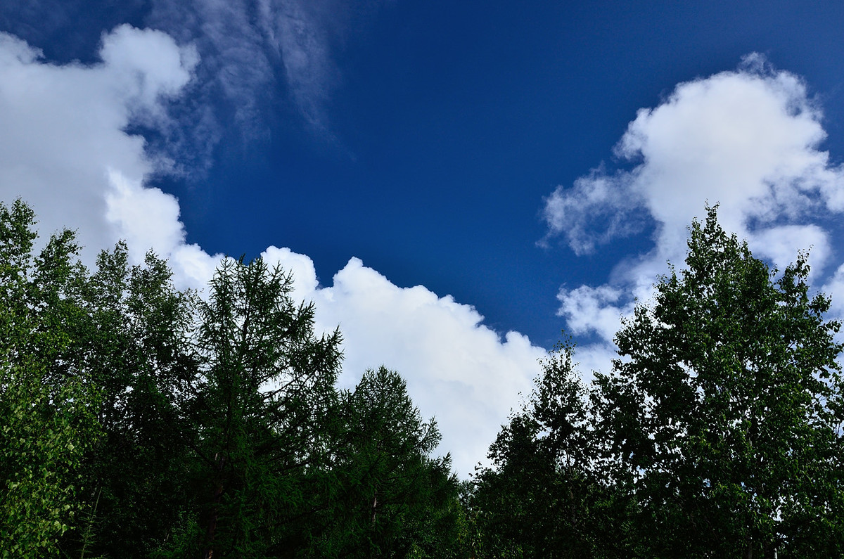 呼伦贝尔随记——身侧流云的世界