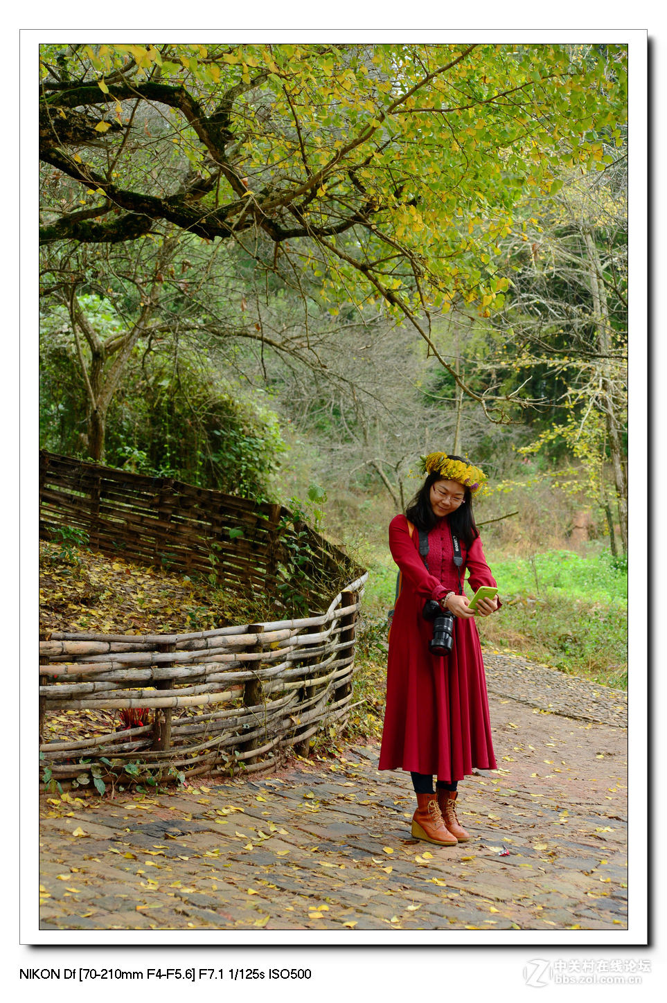 【最美金秋---南雄坪田银杏之乡摄影采风团】----(下）。