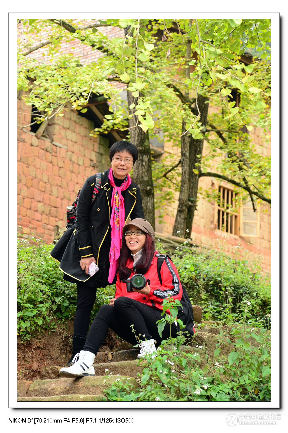 【最美金秋---南雄坪田银杏之乡摄影采风团】----(下）。