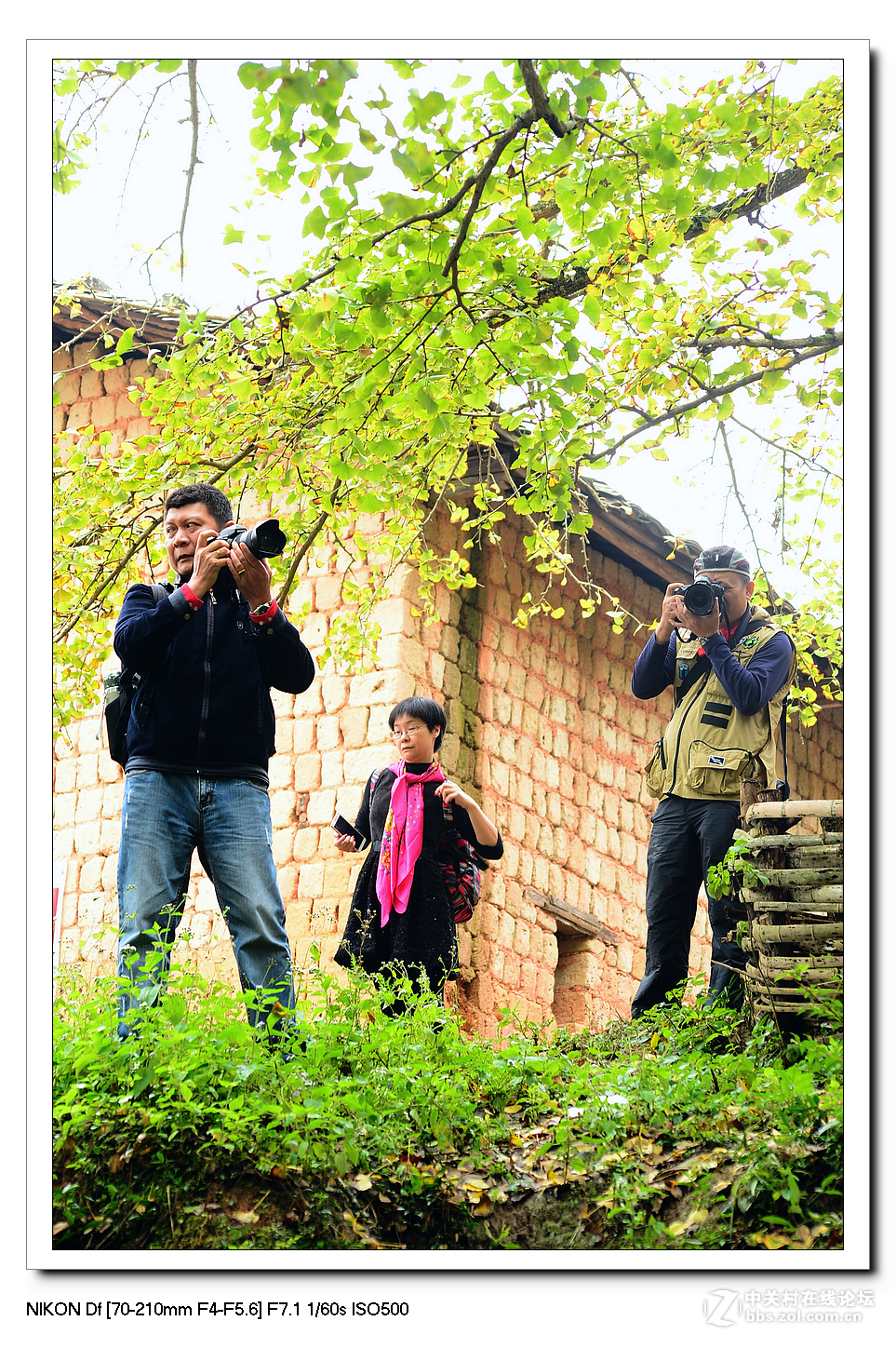 【最美金秋---南雄坪田银杏之乡摄影采风团】----(下）。