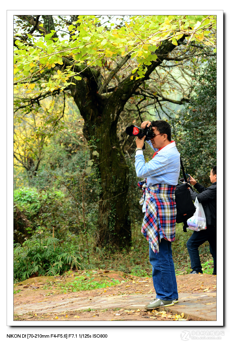 【最美金秋---南雄坪田银杏之乡摄影采风团】----(下）。