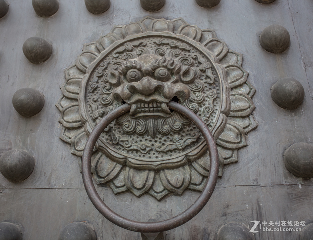 九华山(二)——护国月身宝殿、祇园禅寺