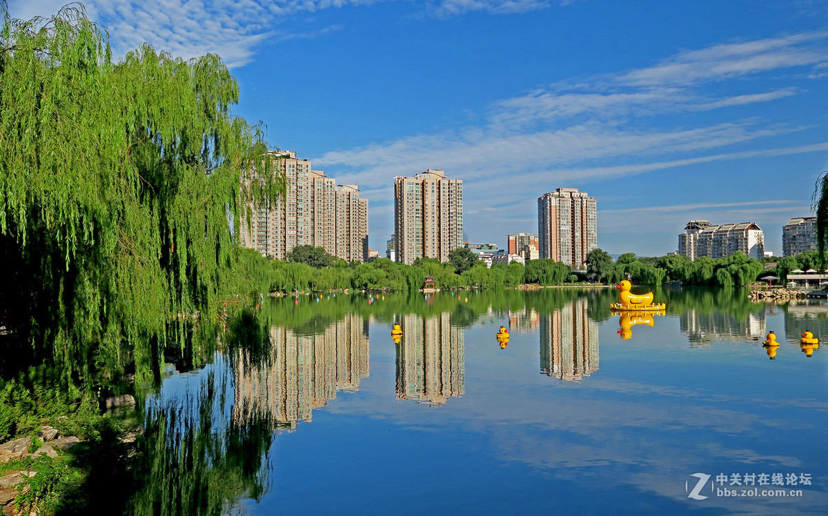 北京： 盛夏时节的紫竹院公园