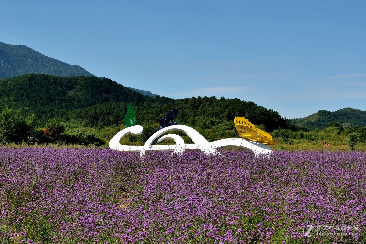 花的海洋——游走“四季花海”拍