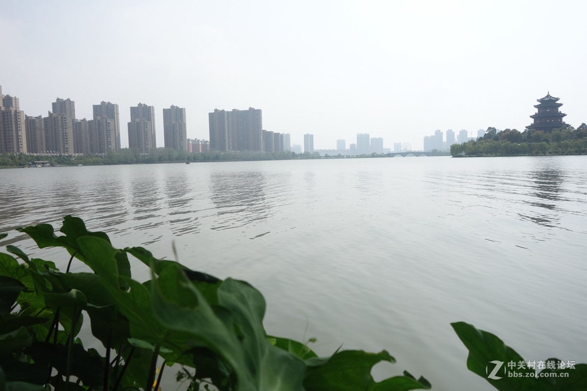 梦湖风