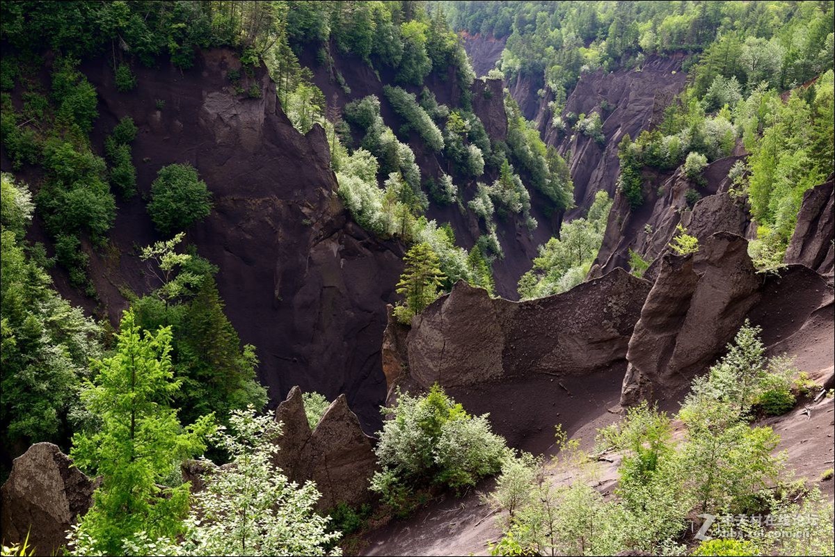 休闲随拍（348）