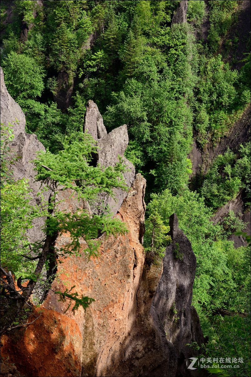 休闲随拍（348）