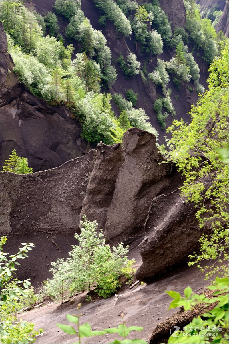 休闲随拍（348）