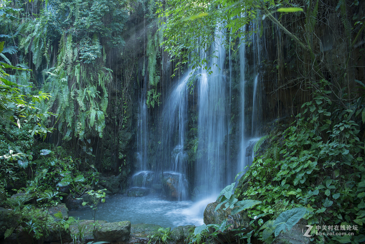 王中王-花之王镜之王试镜片