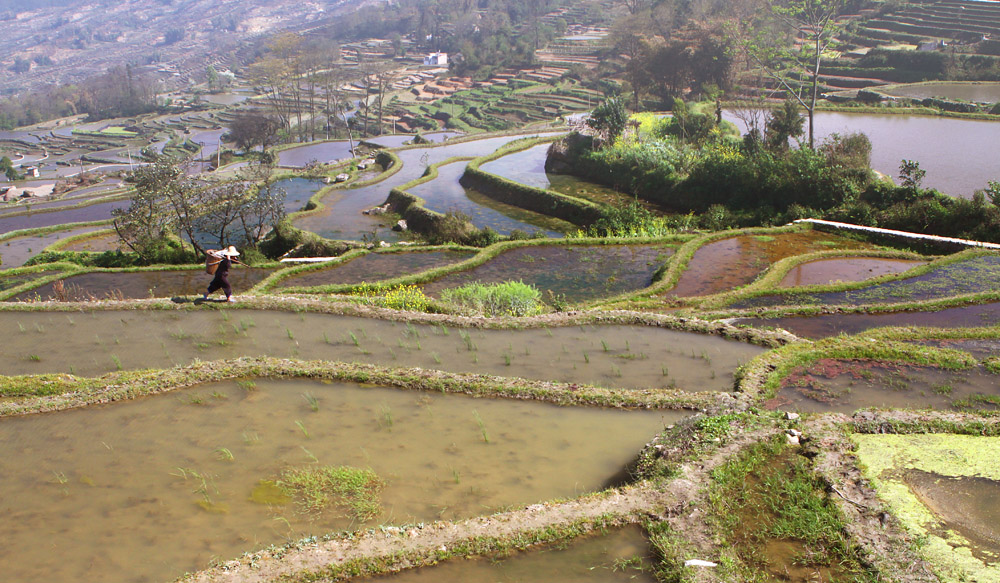 云南梯田