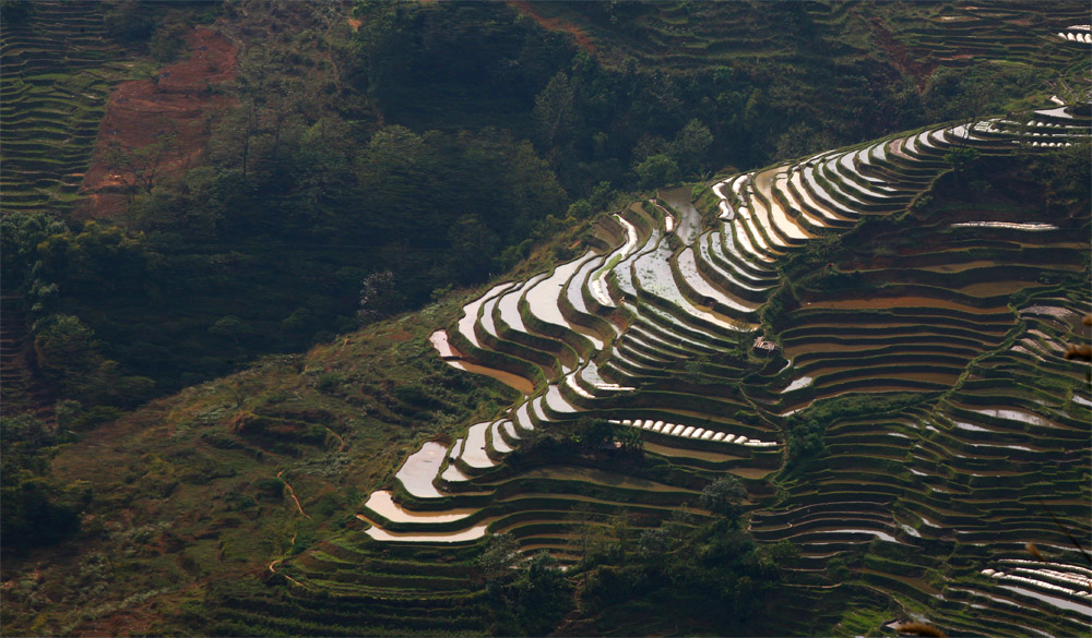 云南梯田