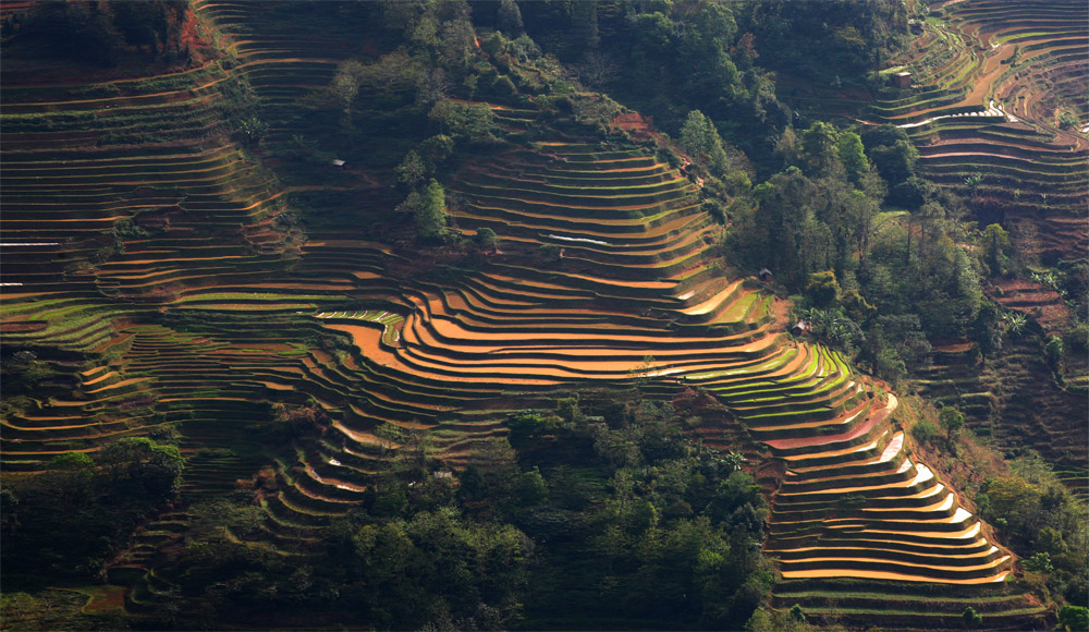 云南梯田