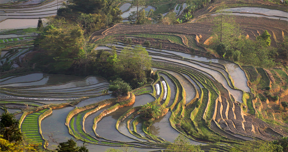 云南梯田