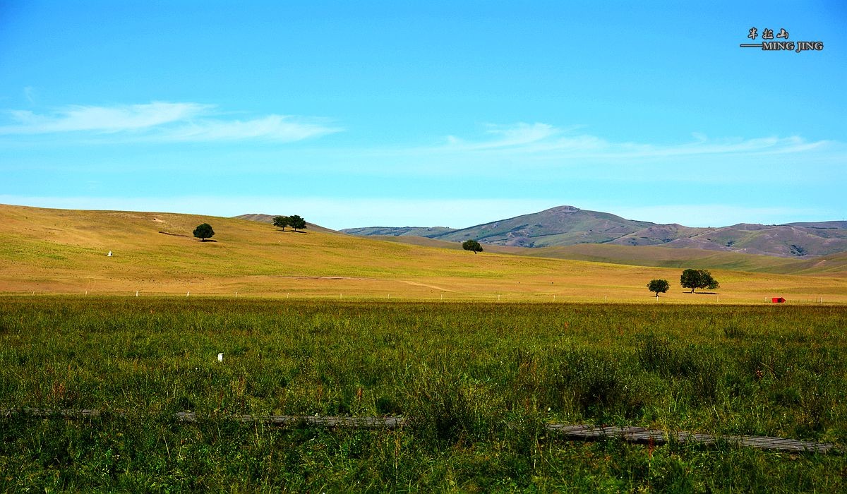 深度锡林郭勒 之 西乌珠穆沁旗  半拉山 ！