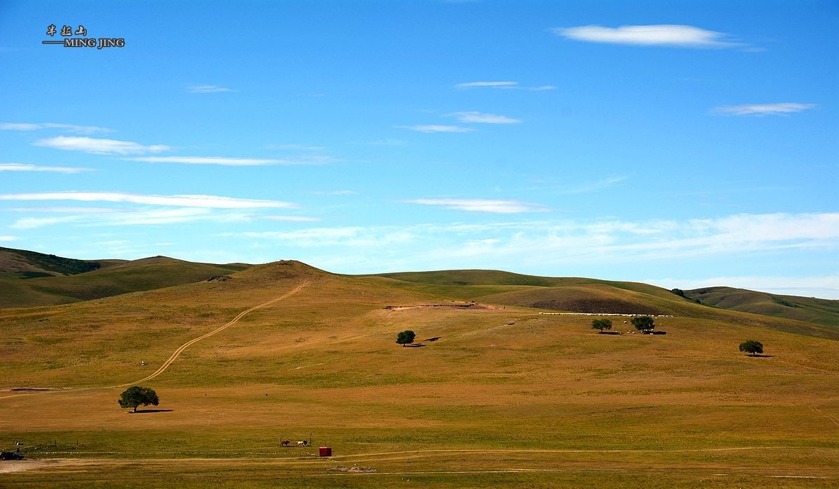 深度锡林郭勒 之 西乌珠穆沁旗  半拉山 ！