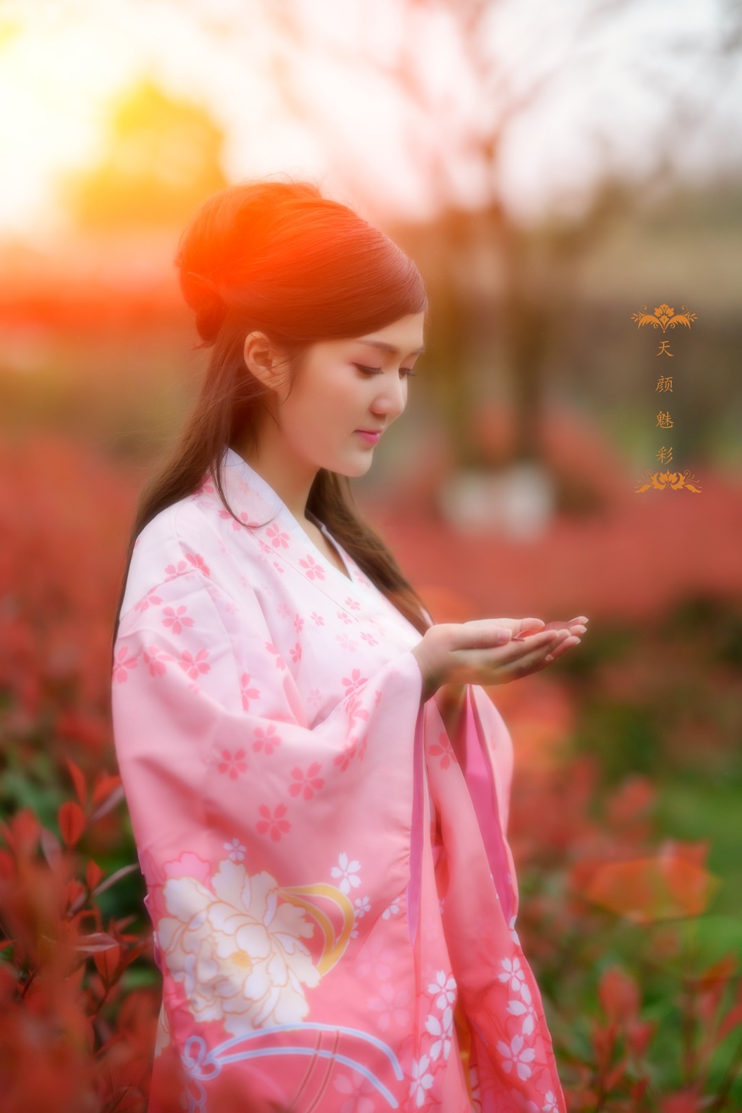 华哥影像 天颜魅彩系列