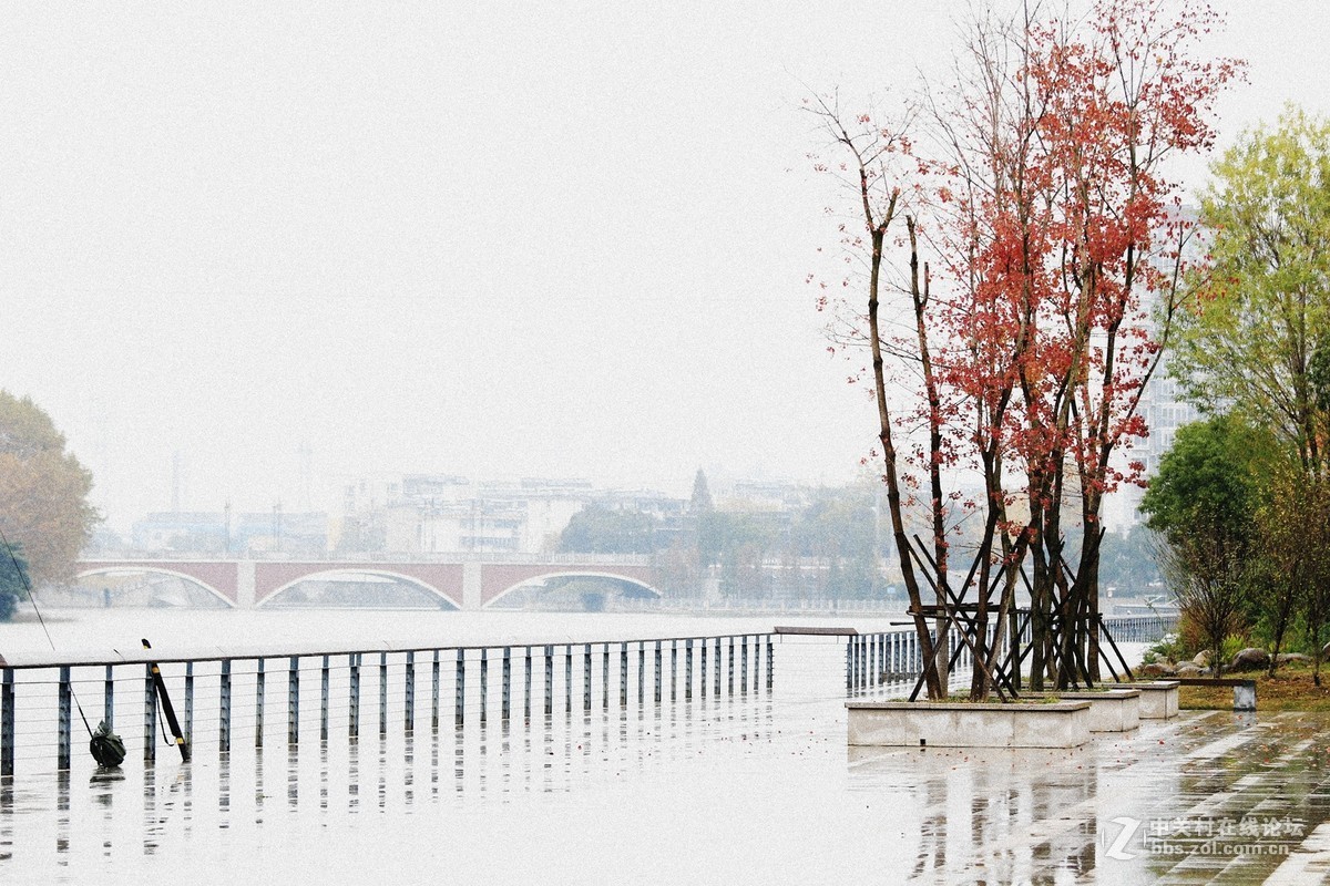 秋尽冬雨霜叶稀