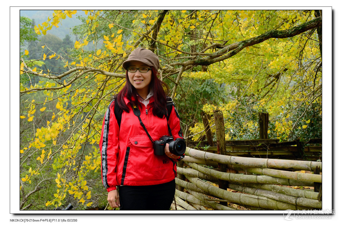 【最美金秋---南雄坪田银杏之乡摄影采风团】----(下）。