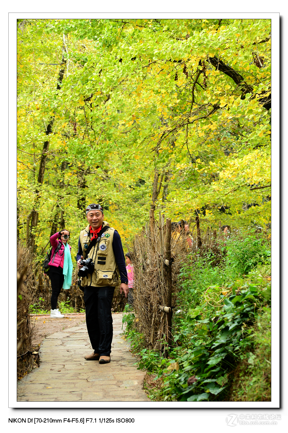 【最美金秋---南雄坪田银杏之乡摄影采风团】----(下）。