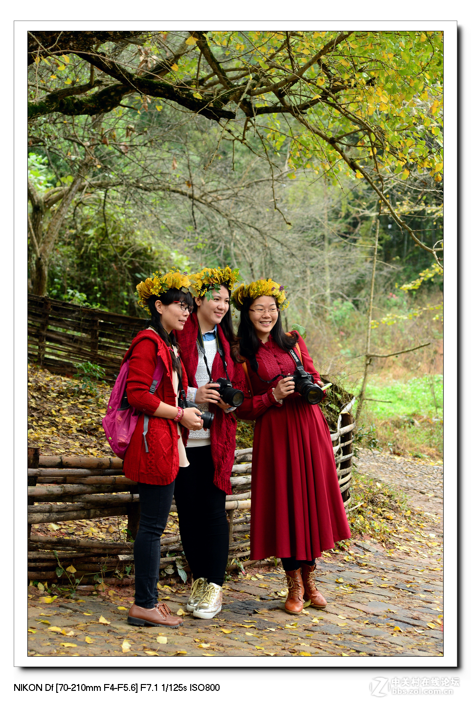 【最美金秋---南雄坪田银杏之乡摄影采风团】----(下）。