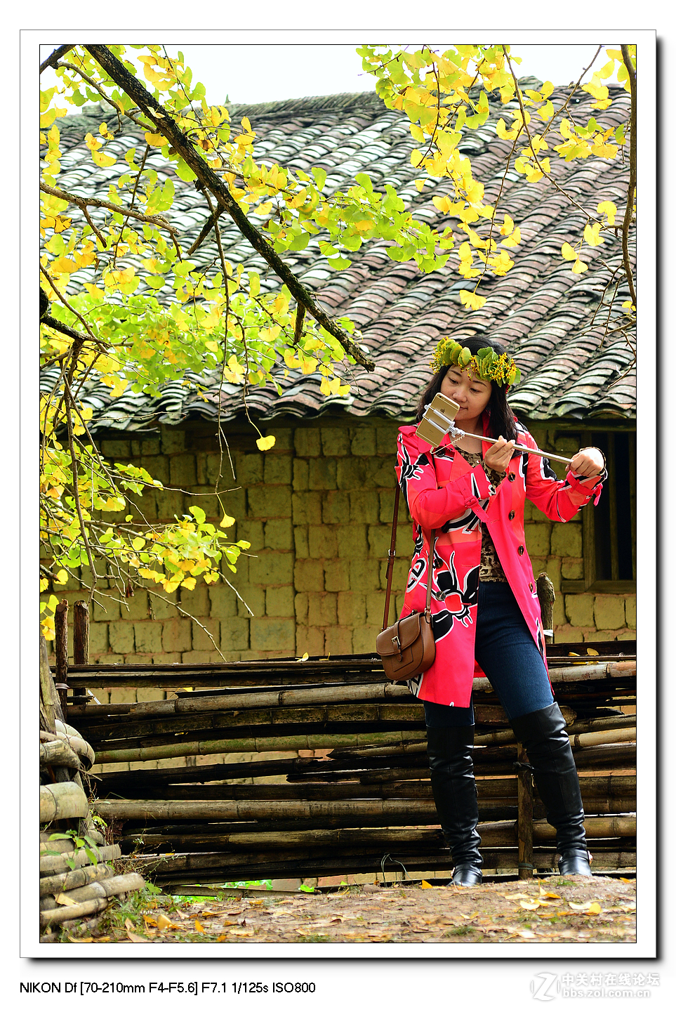 【最美金秋---南雄坪田银杏之乡摄影采风团】----(下）。