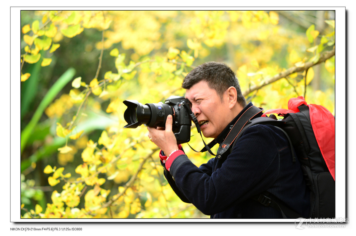 【最美金秋---南雄坪田银杏之乡摄影采风团】----(下）。