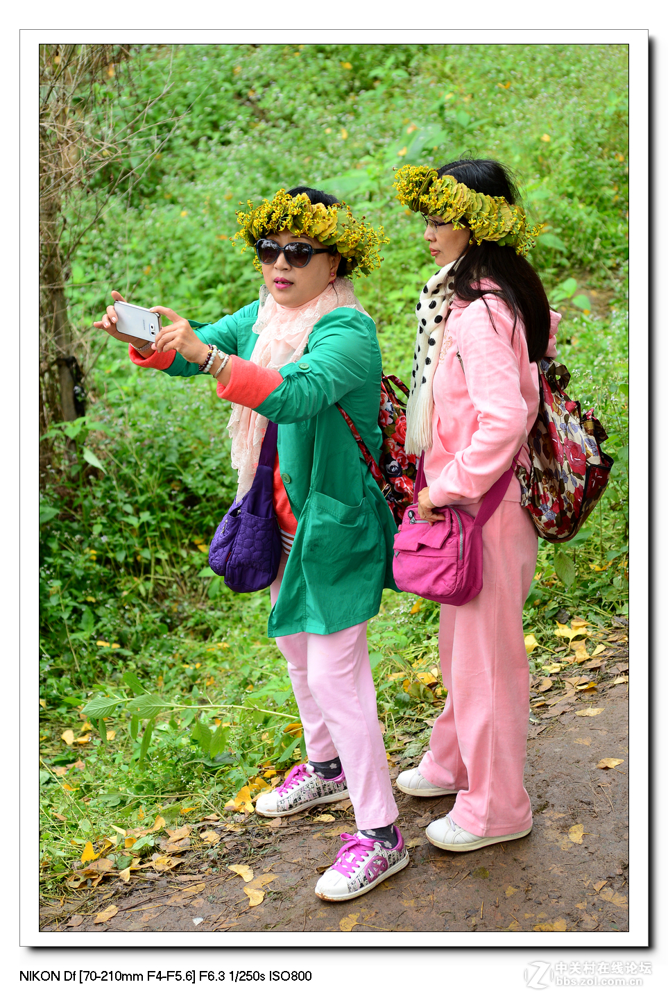 【最美金秋---南雄坪田银杏之乡摄影采风团】----(下）。