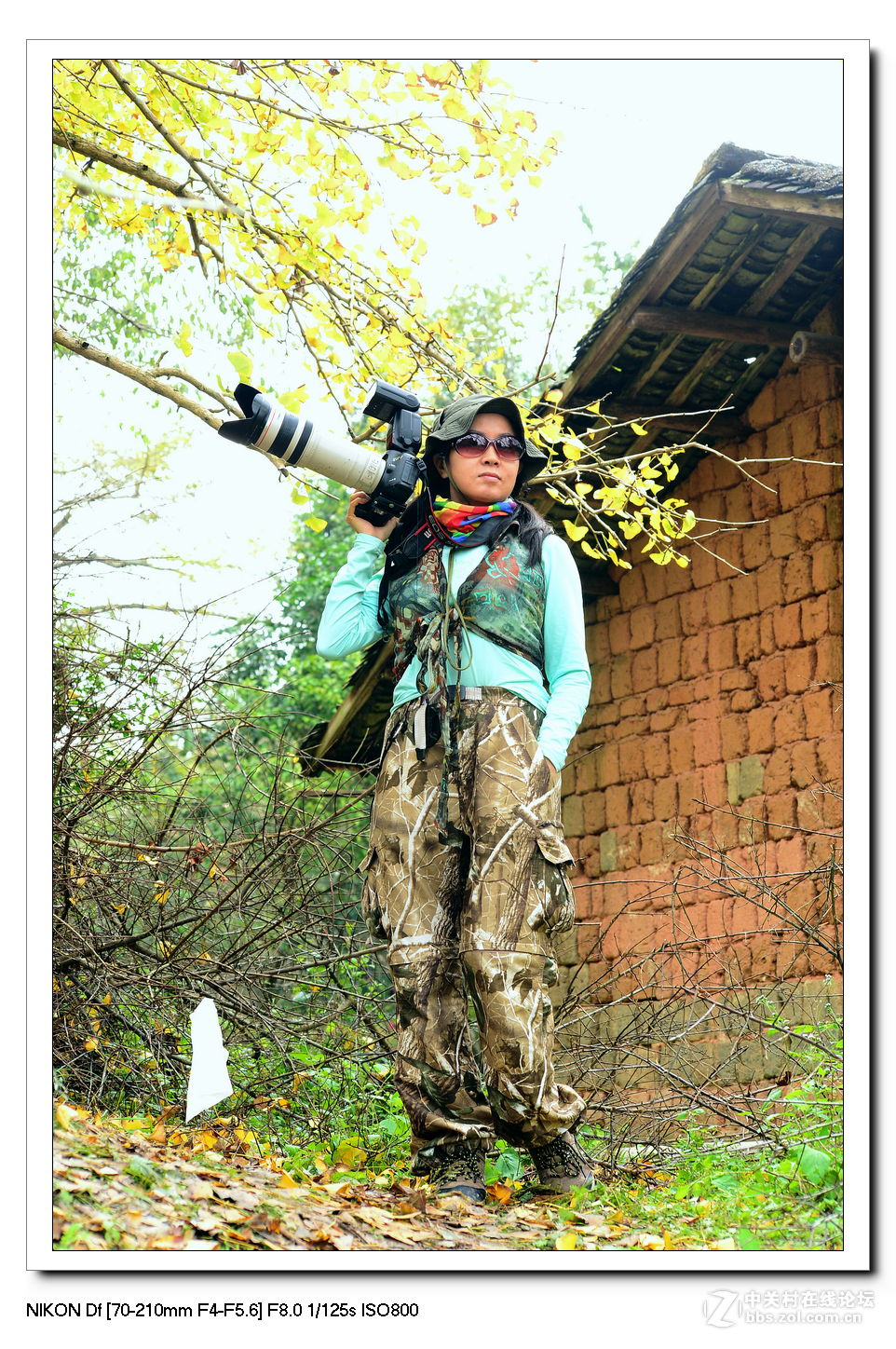 【最美金秋---南雄坪田银杏之乡摄影采风团】----(下）。