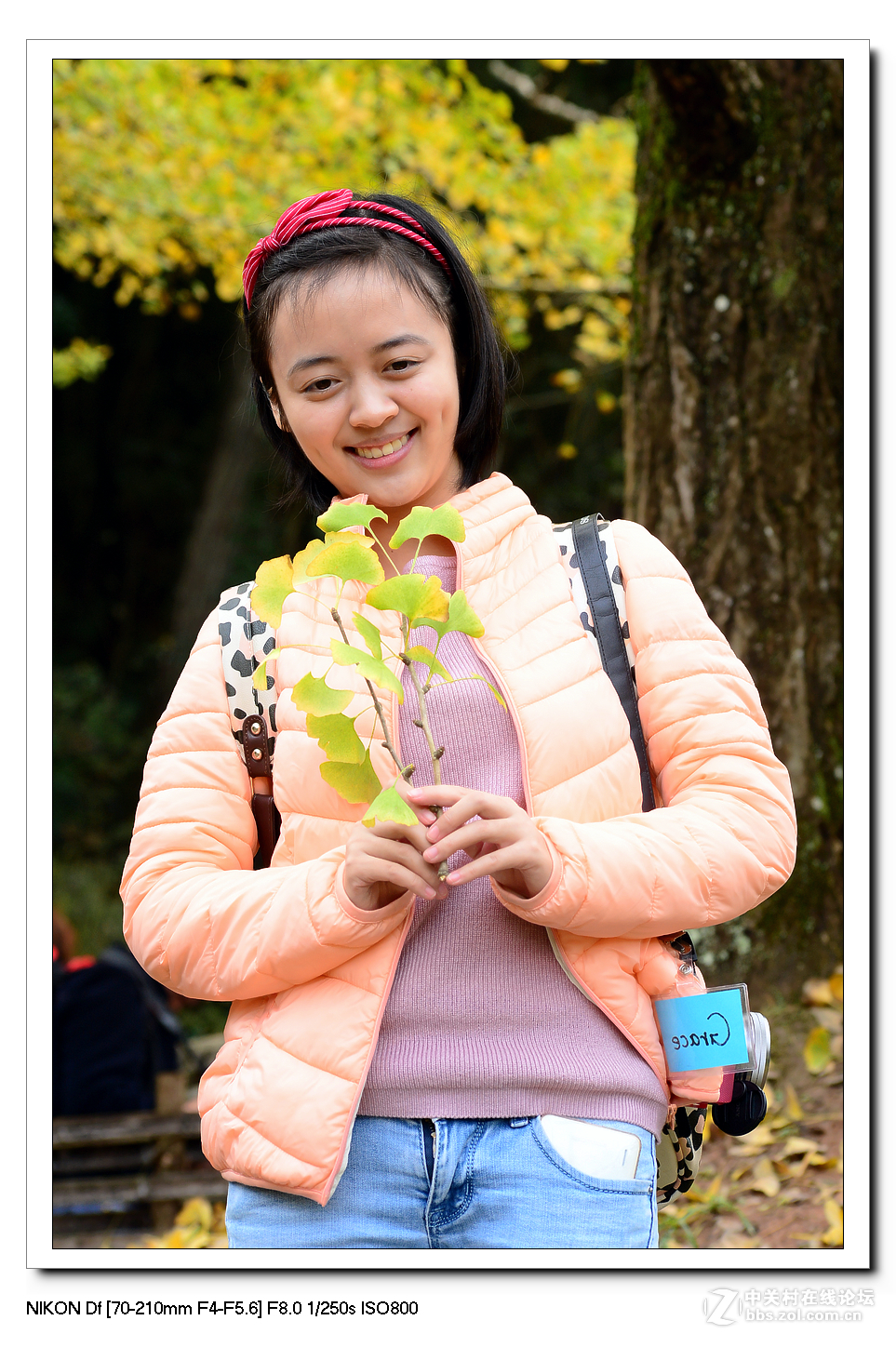 【最美金秋---南雄坪田银杏之乡摄影采风团】----(下）。