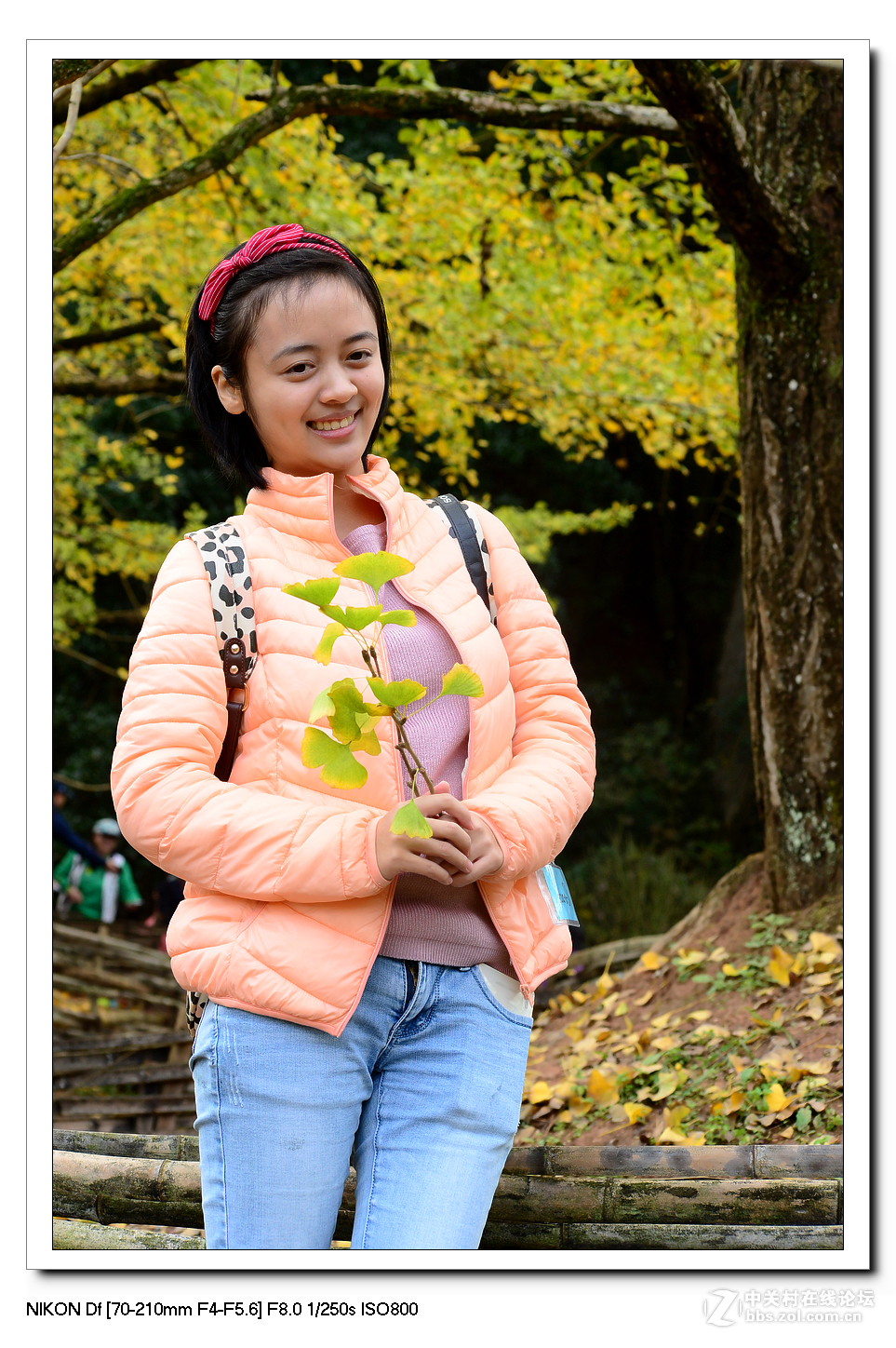 【最美金秋---南雄坪田银杏之乡摄影采风团】----(下）。