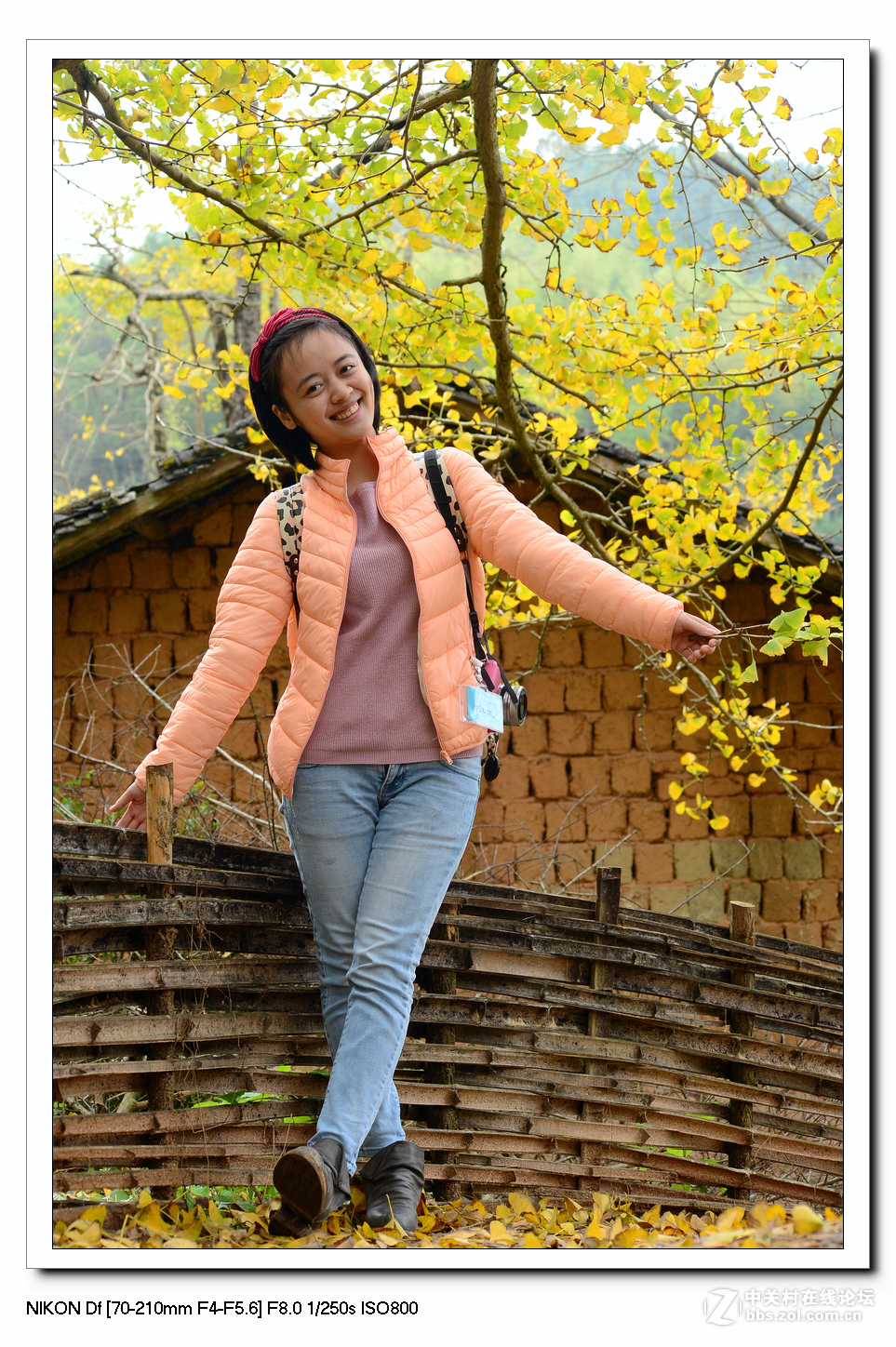 【最美金秋---南雄坪田银杏之乡摄影采风团】----(下）。