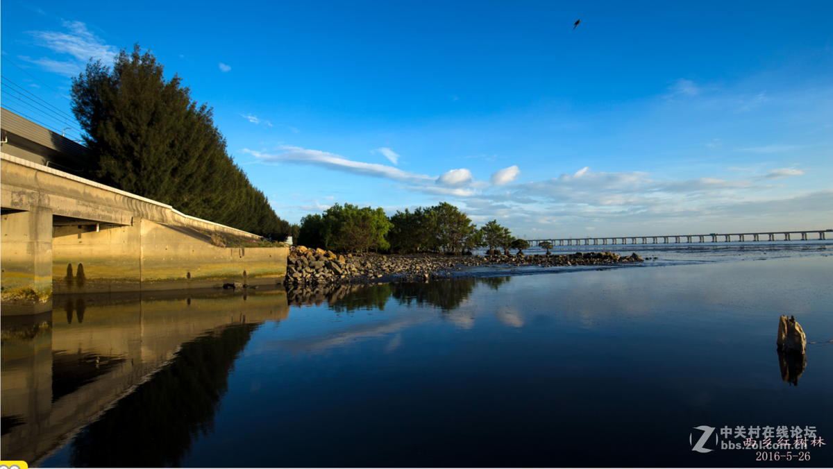 深圳西乡红树林