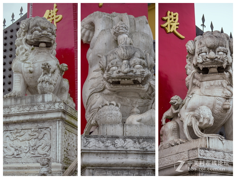 九华山(二)——护国月身宝殿、祇园禅寺