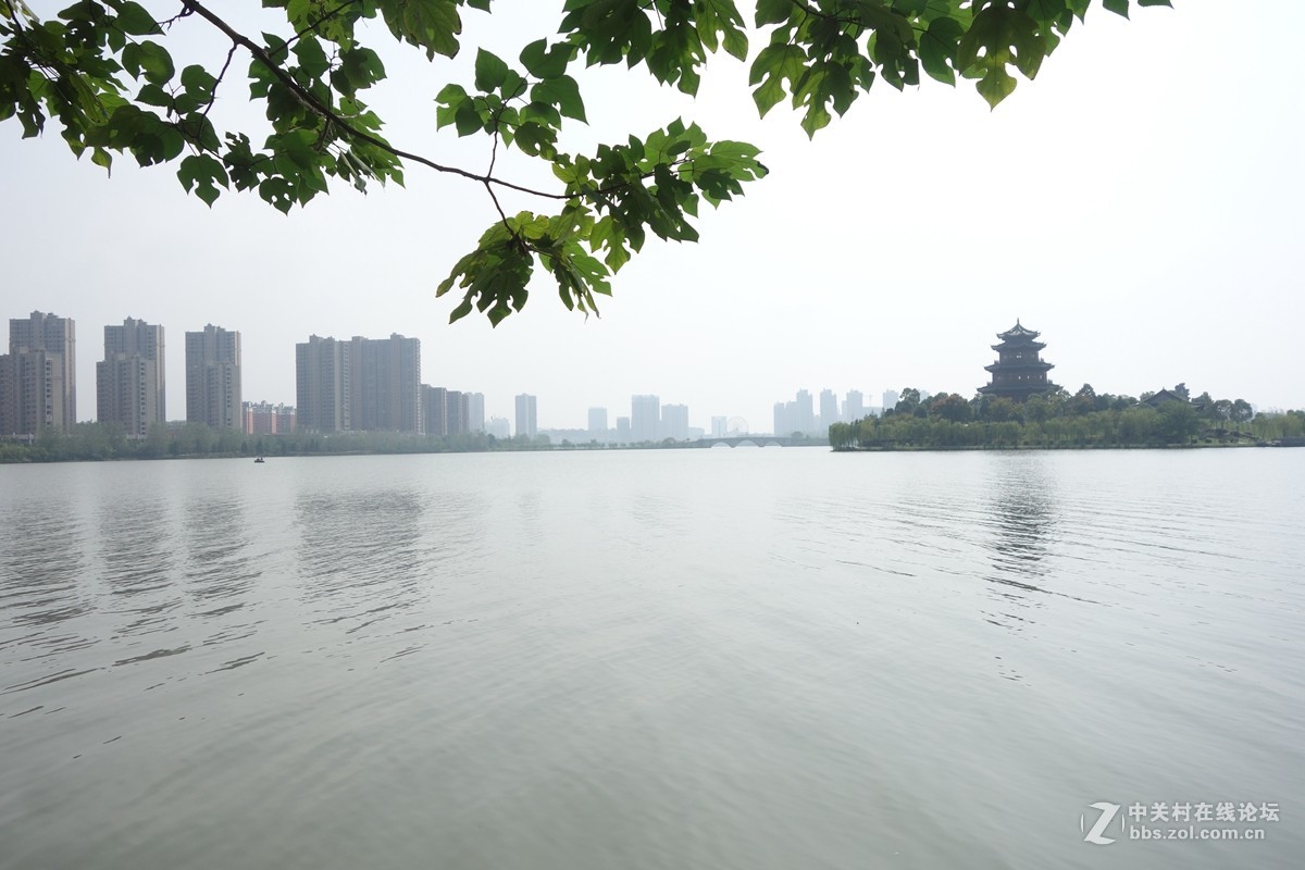 梦湖风