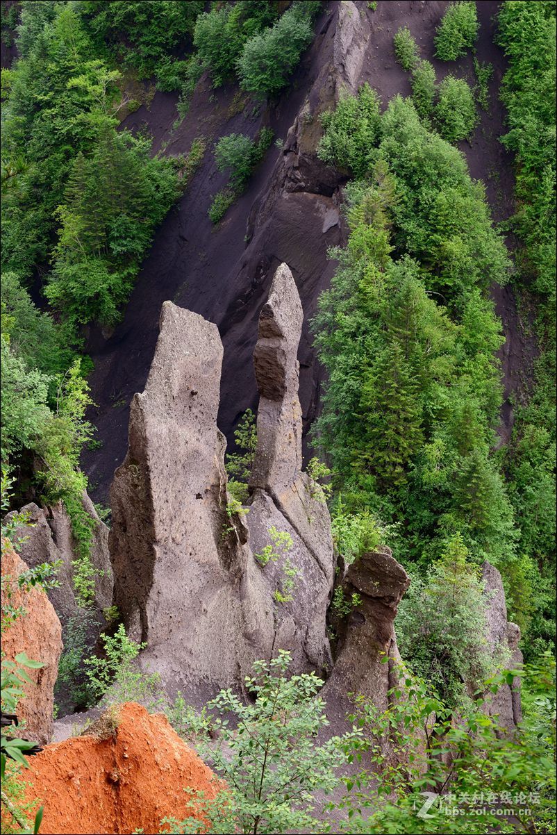 休闲随拍（348）