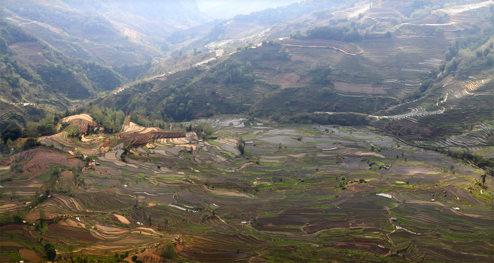 云南梯田
