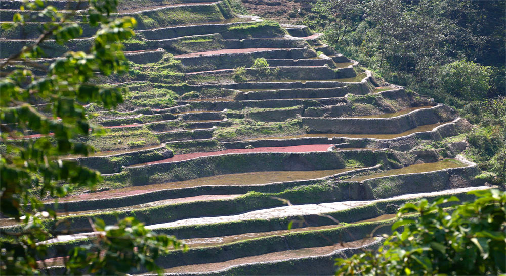 云南梯田